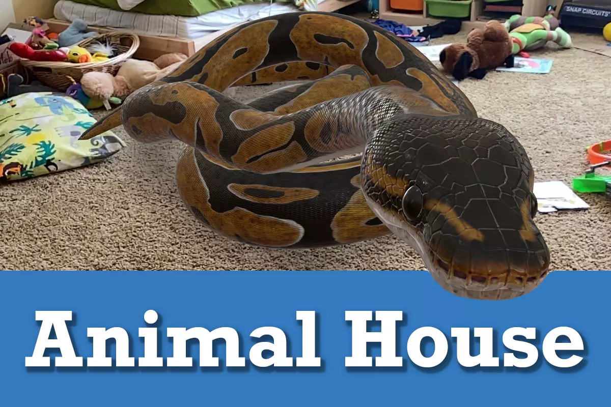 What Google 3D animals can I pick to view on my phone?