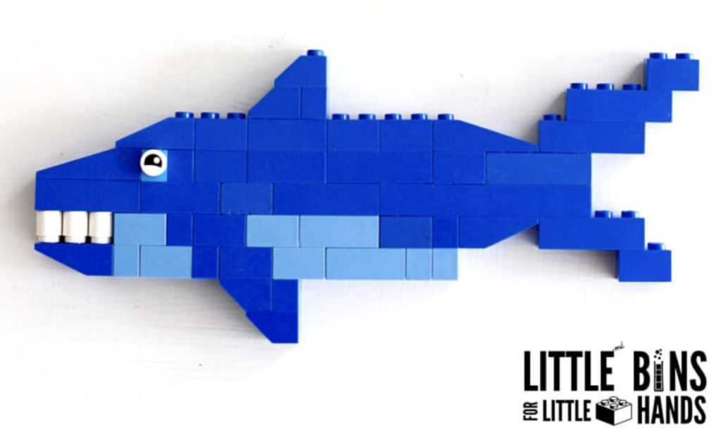 How Do Sharks Float? - Little Bins for Little Hands