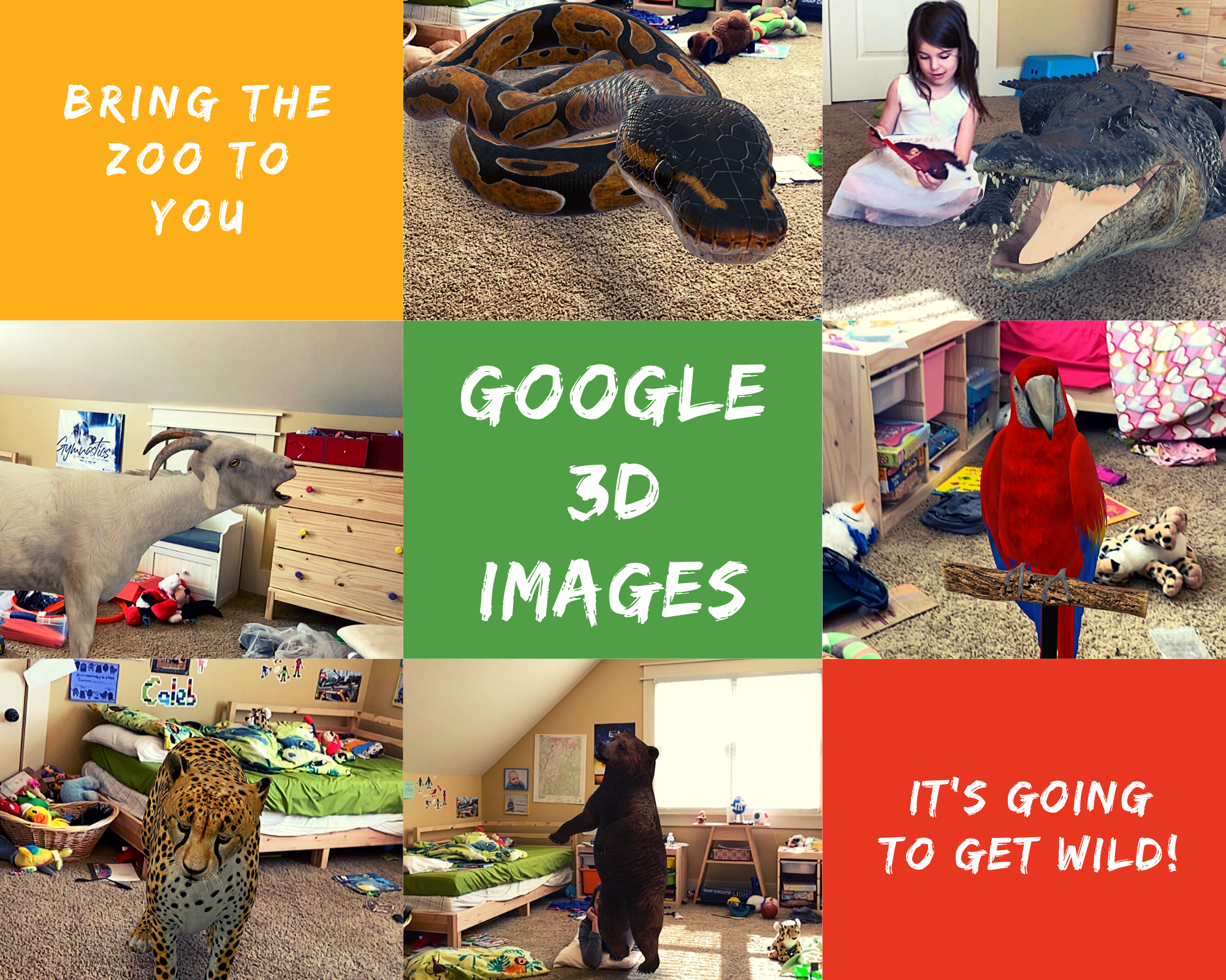 Bringing the Animal Kingdom to Life with Google 3D #Google3DAnimals #