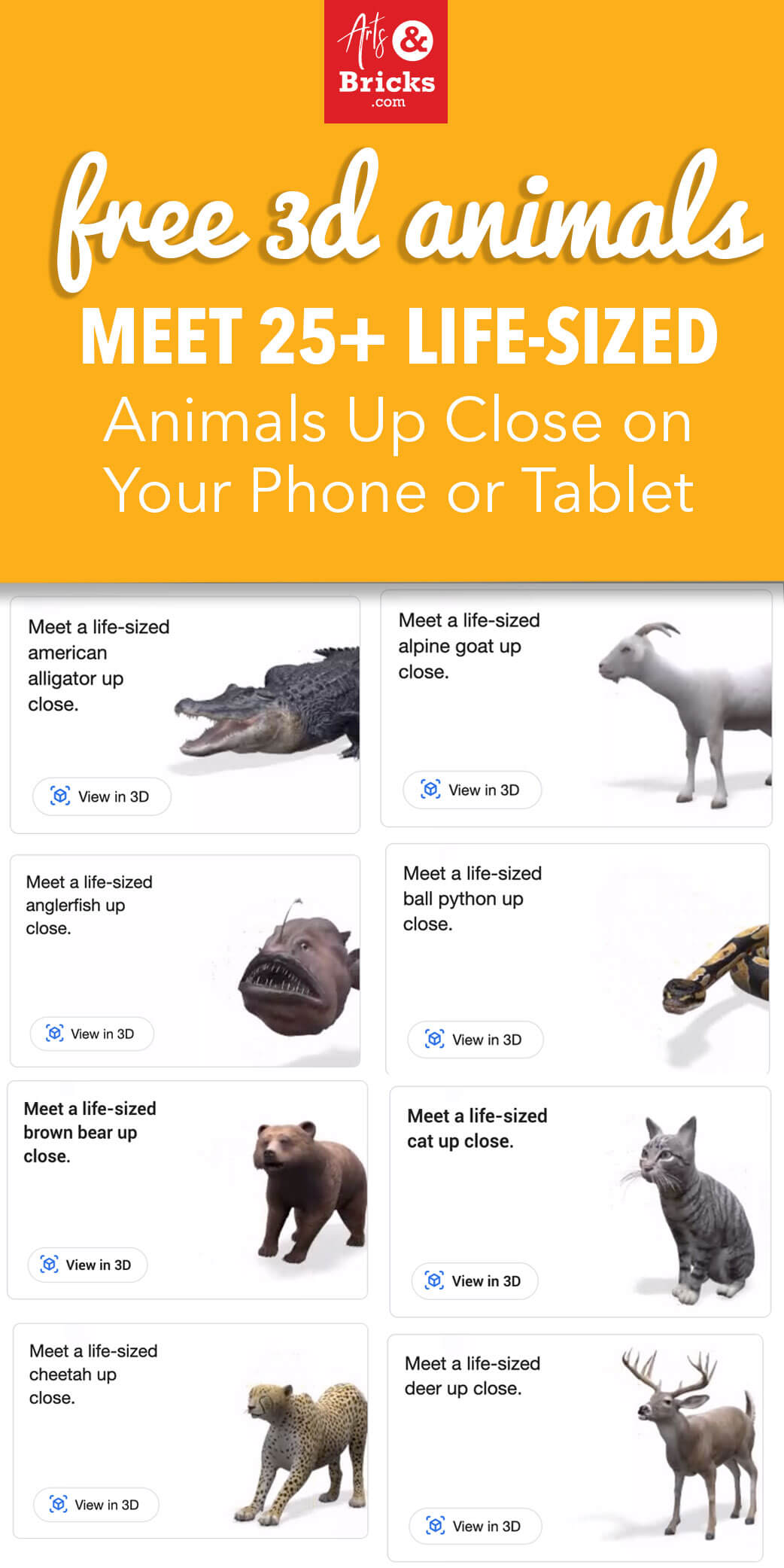 Free 3D Animals - Meet 25+ Life-Sized Animals Up Close on Your Phone or Tablet