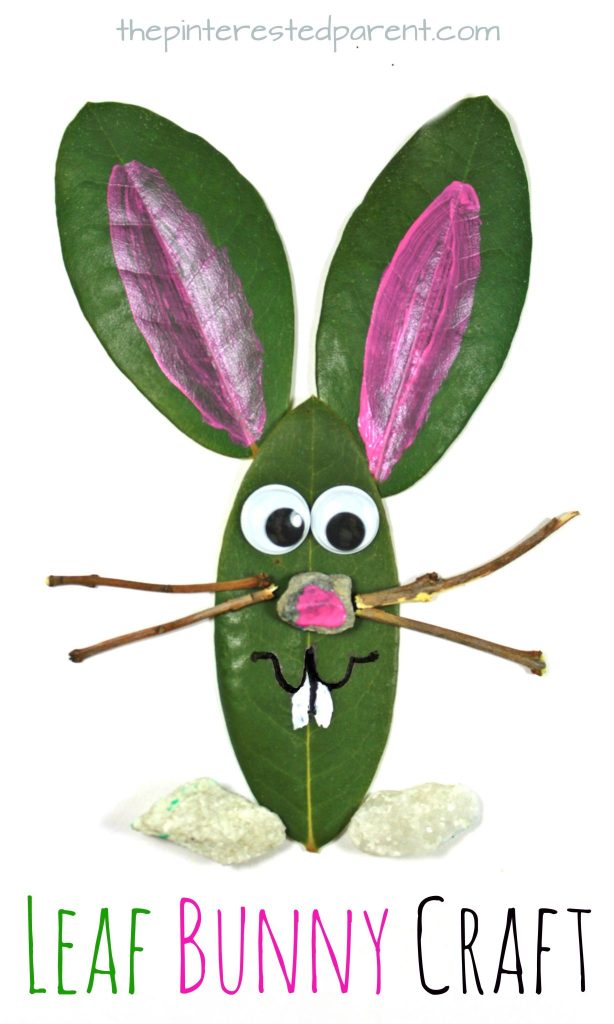 Living in West Virginia, we're surrounded by Rhododendron; it's even our state flower! Check out this cute Leaf Bunny Craft The Pinterested Parent. You'll love it!