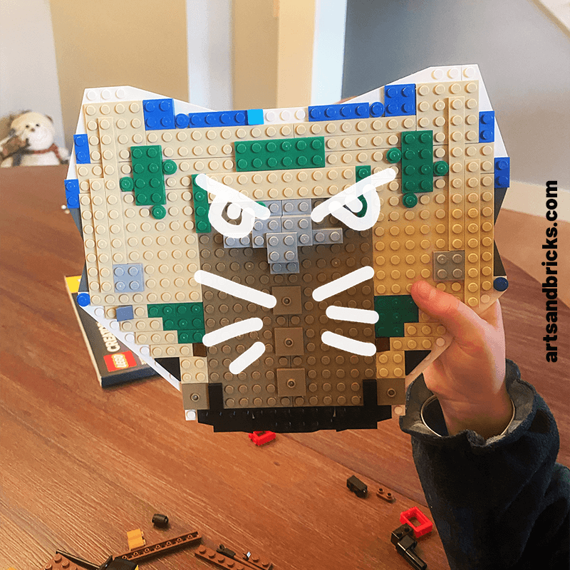 Read about Arts and Bricks's experience building Skull Island from the 2020 LEGO Pirate Ship set 31109 with kids.