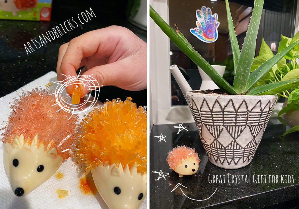 Create figurine sculptures from crystals with Mindware Crystal Kits (on Amazon). There are hedgehogs, dinosaurs, unicorns, and puffer fish crystal-making kits! You can read more about our experience making crystals in our post, "Make Your Own Crystals with Kids."