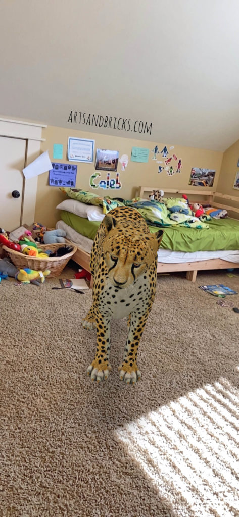 A fun digital activity with kids, use Google's Augmented Reality (AR) to play basketball with a cheetah in your home! Lots of laughter and entertainment for little ones -- and adults, too!