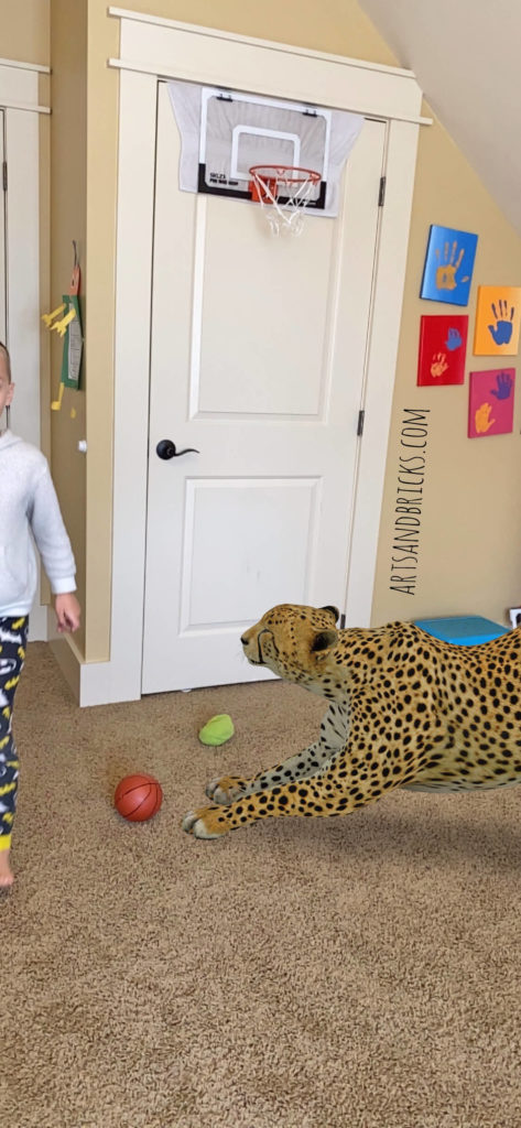 A fun digital activity with kids, use Google's Augmented Reality (AR) to play basketball with a cheetah in your home! Lots of laughter and entertainment for little ones -- and adults, too!