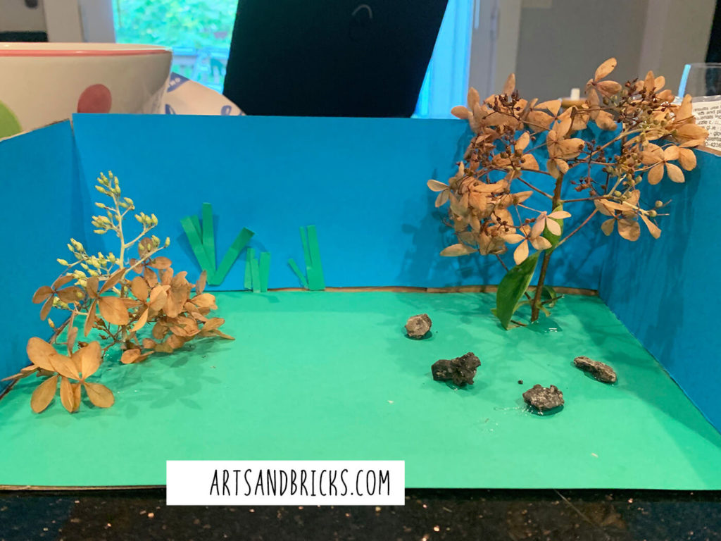 Found foliage and rocks give science dioramas a realistic feel. Shown here are dried hydrangea flower and rocks.