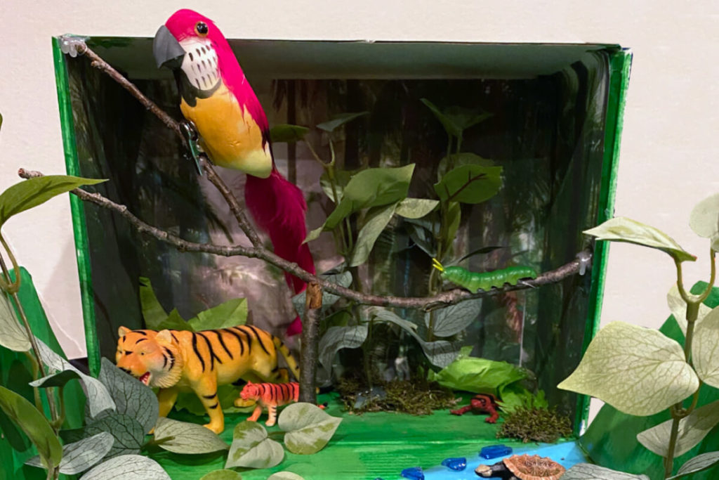 Love them or hate them, elementary school diorama projects are part of life for the typical parent! Here we're sharing our process for making a grassland diorama in 2nd grade and a rainforest diorama in 5th grade.