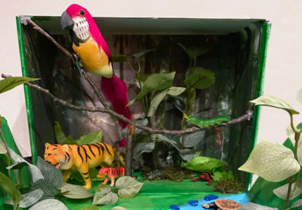 Love them or hate them, elementary school diorama projects are part of life for the typical parent! Here we're sharing our process for making a savannah diorama in 2nd grade and a rainforest diorama in 5th grade.