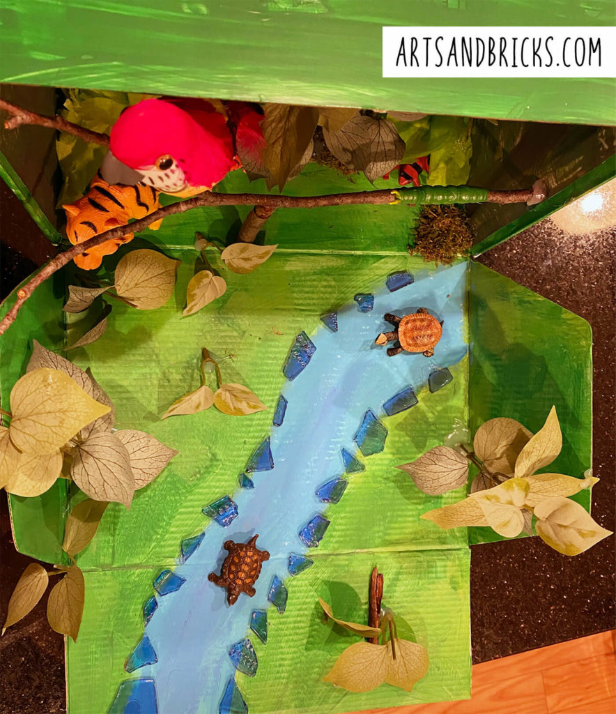 rainforest ecosystem diorama