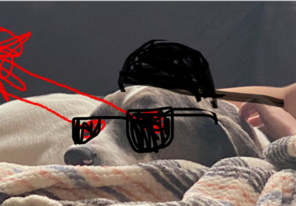 A puppy dog with a kid doodling a hat, laser eyes and glasses on the dog's face.