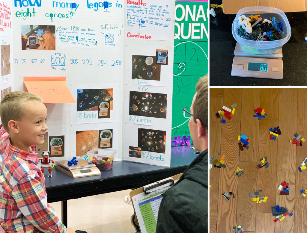 How many LEGO bricks are in 8 ounces? The premise for an elementary-age school science fair project.