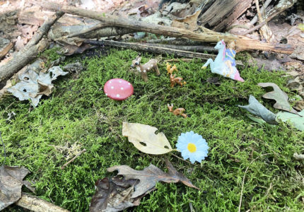 Fairy gardens with unicorns, fairies, deer, mushrooms and moss