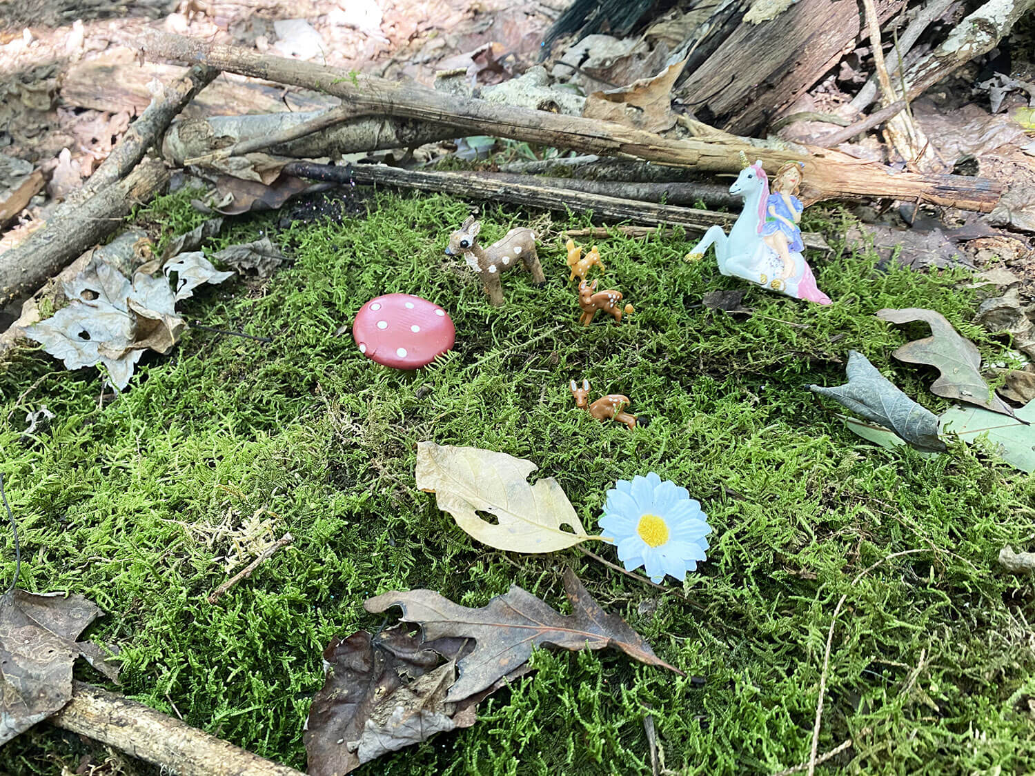 DIY Fairy Garden Ideas