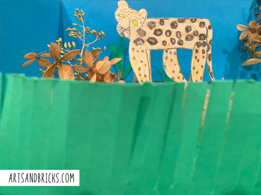 An easy idea for science dioramas is making grass out of cut green paper. Explore our Jungle Rainforest and Grassland diorama ideas.
