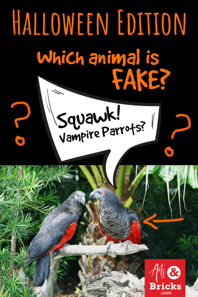 This is a Halloween edition of our family's animal name guessing game for kids. Test your knowledge of vampire, ghoul, and ghost-named animals!